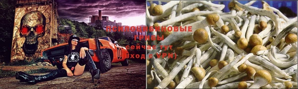 гашишное масло Краснослободск